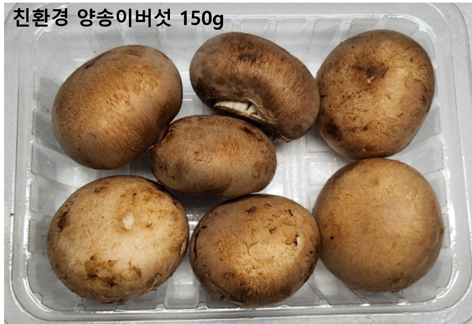 이미지3